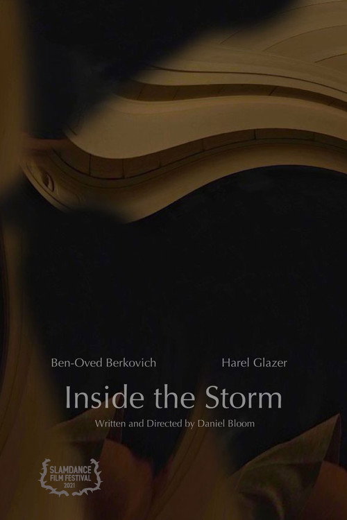 Movie poster for Inside the Storm (2020)