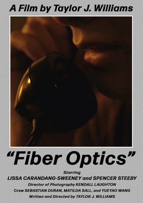 Movie poster for Fiber Optics (2022)