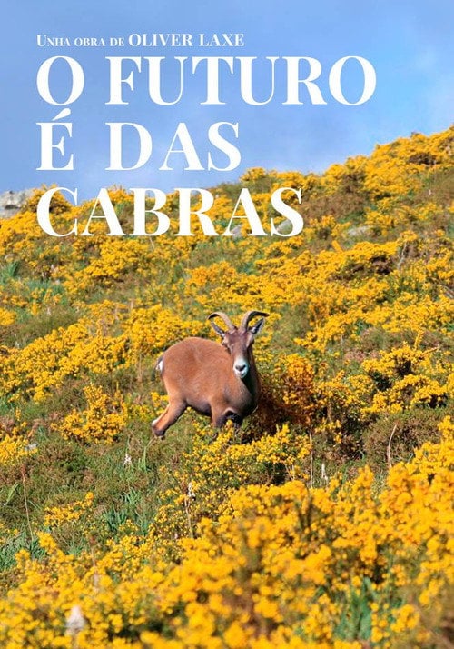 Movie poster for The Future is Goats (2022)