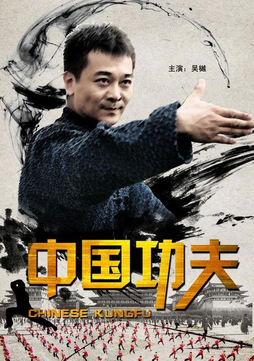 Movie poster for Chinese Kungfu (2010)