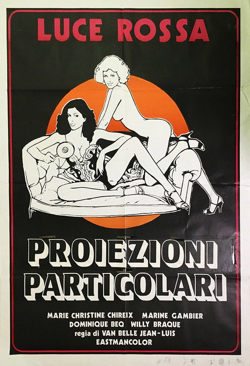 Movie poster for Projections spéciales (1976)
