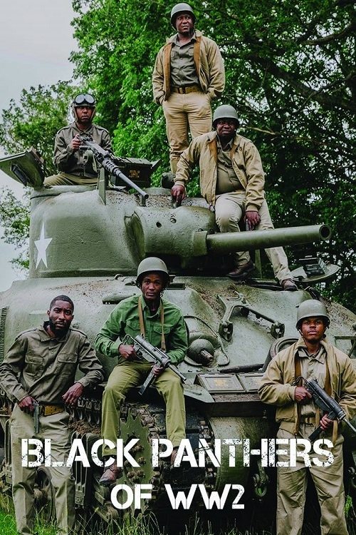 The Black Panthers of WW2 poster