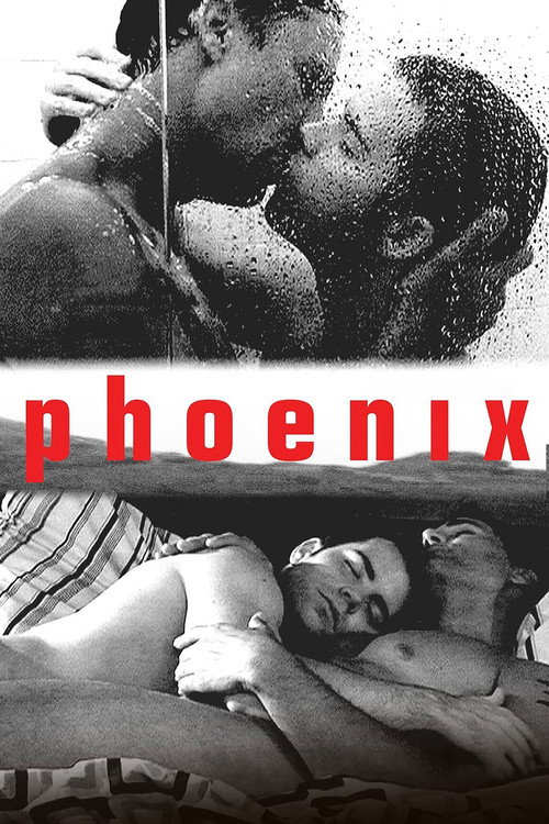 Movie poster for Phoenix (2006)