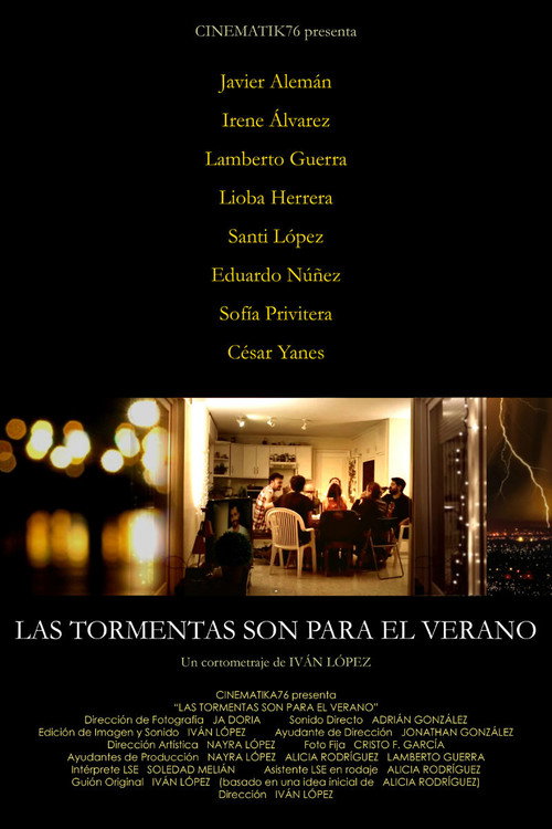 Movie poster for Las tormentas son para el verano (2015)