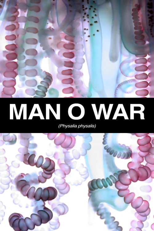 Movie poster for Man O War (2011)