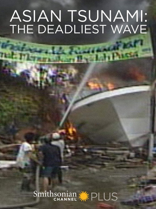 Movie poster for Asian Tsunami: The Deadliest Wave (2014)