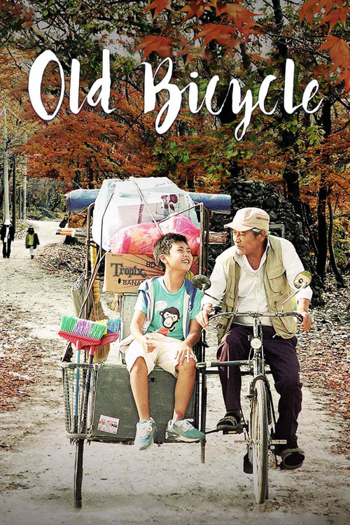 Movie poster for Old Bicycle (2015)