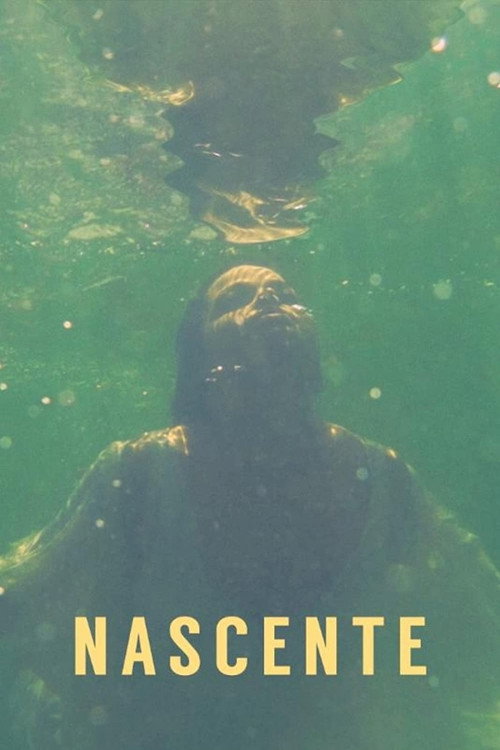 Movie poster for Headstream (2018)