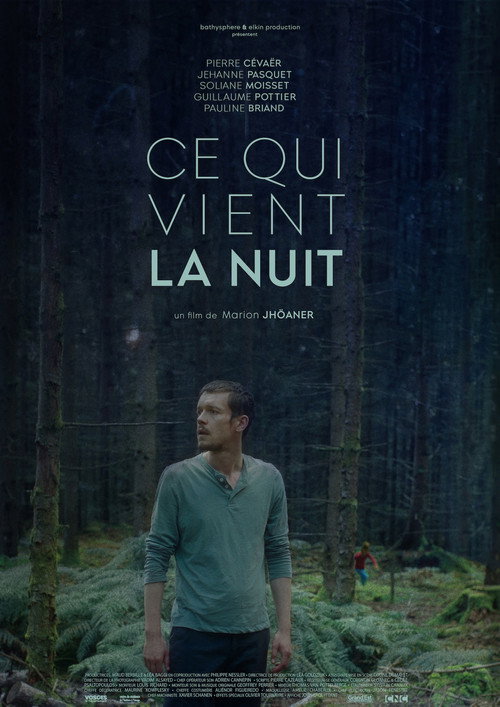 Movie poster for What Comes at Night (2022)