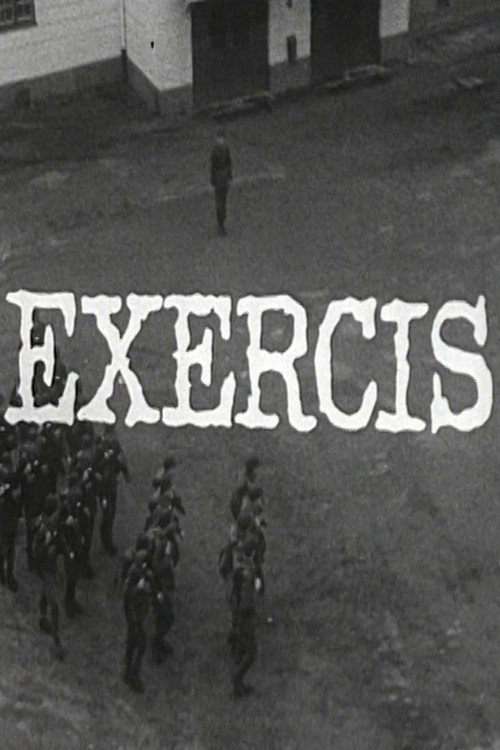 Movie poster for Exercis (1968)