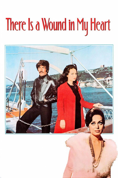 Movie poster for There Is a Wound in My Heart (1974)