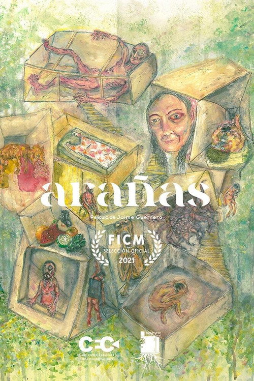 Movie poster for Arañas (2021)