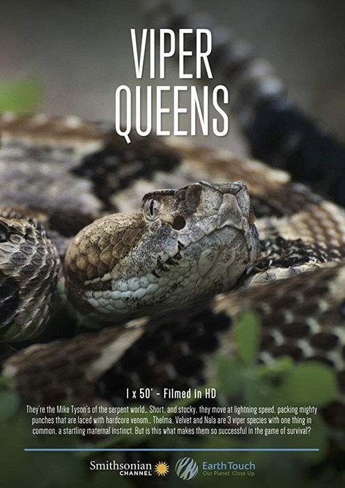 Movie poster for Viper Queens (2016)