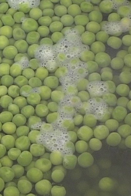 Movie poster for Peas (2002)