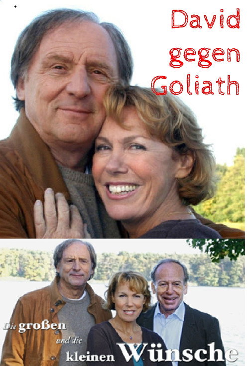 Movie poster for Die großen und die kleinen Wünsche - David gegen Goliath (2007)