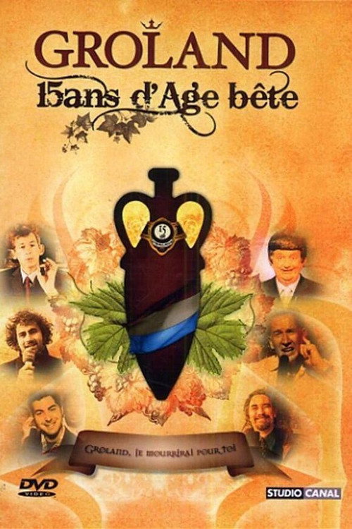 Movie poster for Groland - 15 ans d'âge... bête (2007)