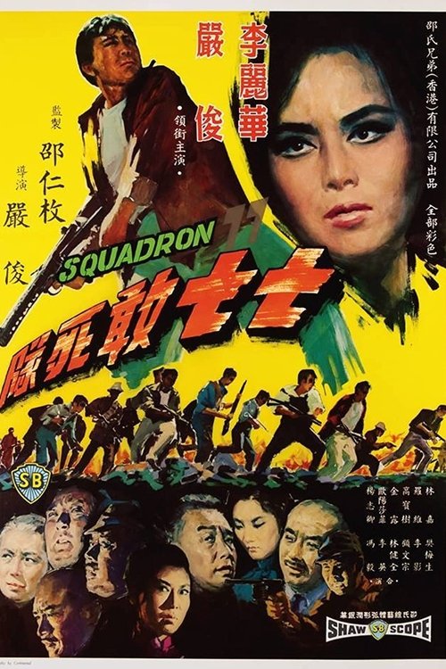 Movie poster for Squadron 77 (1965)