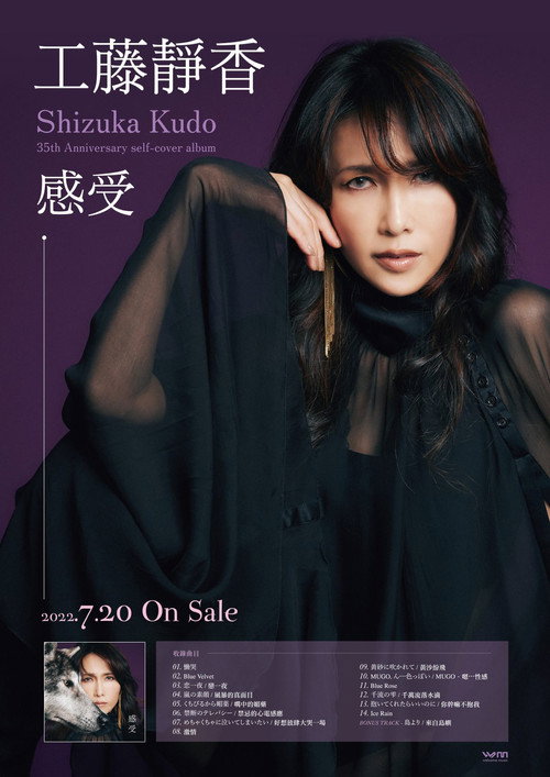 Movie poster for Shizuka Kudo 35th Anniversary Tour 2022 (2022)