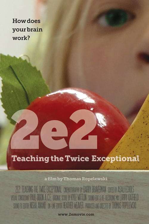 Movie poster for 2e2: Teaching the Twice Exceptional (2018)