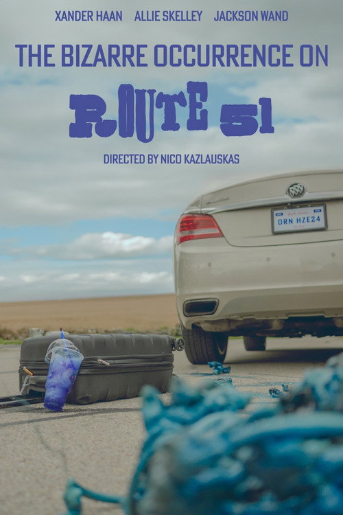 Movie poster for The Bizarre Occurrence on Route 51 (2025)