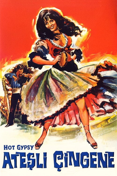 Movie poster for Hot Gypsy (1969)