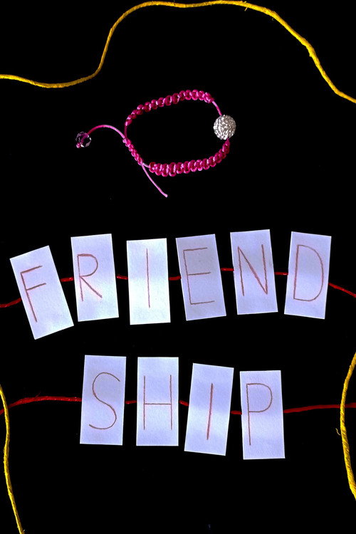 Movie poster for Friendship (2025)