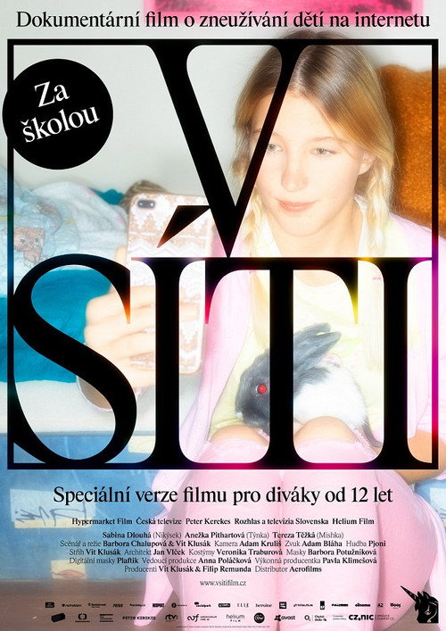 Movie poster for V síti: Za školou (2020)