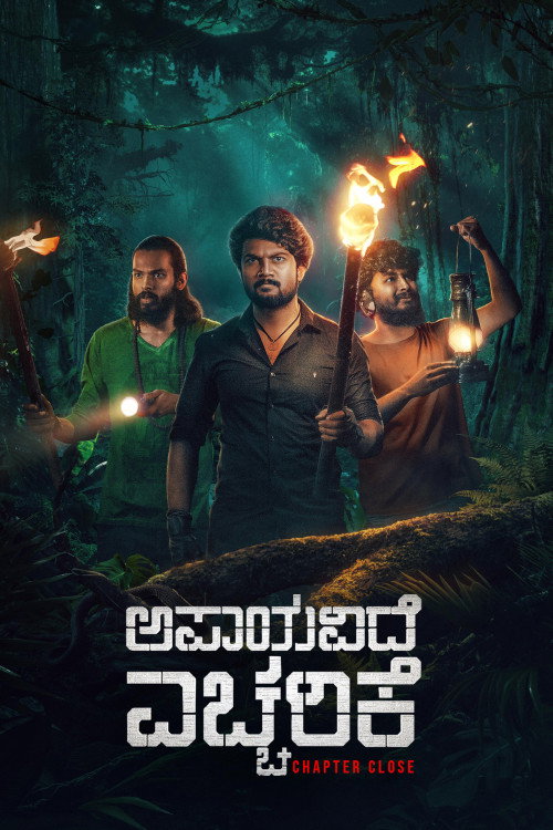 Movie poster for Apaayavide Eccharike