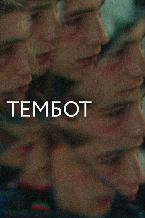 Movie poster for Tembot (2022)