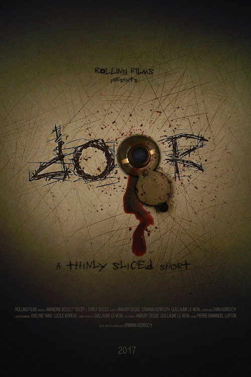 Movie poster for Door (2017)