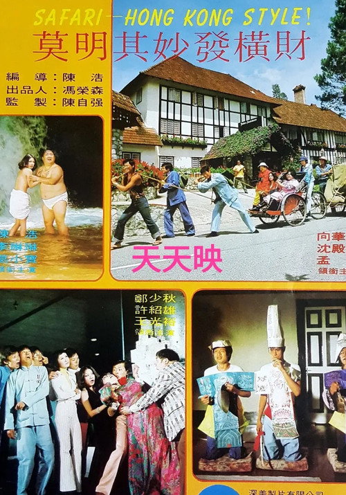 Movie poster for Hong Kong Style (1973)