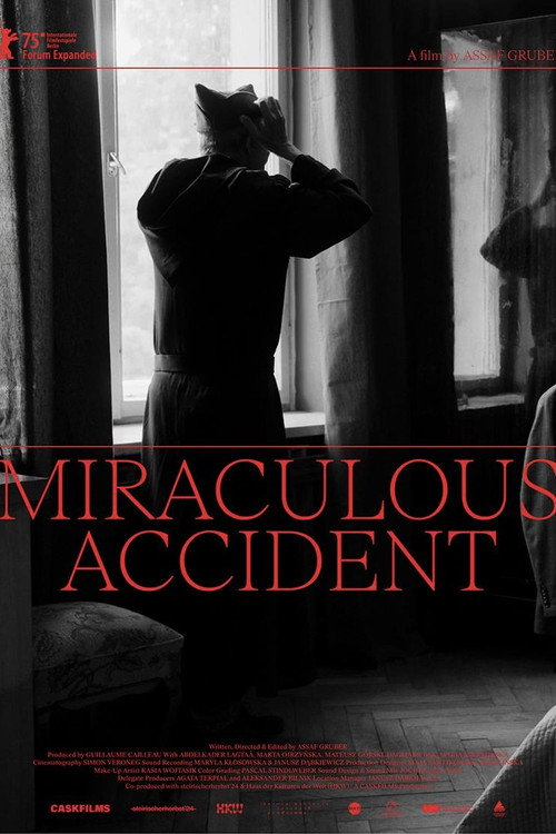 Movie poster for Miraculous Accident (2025)