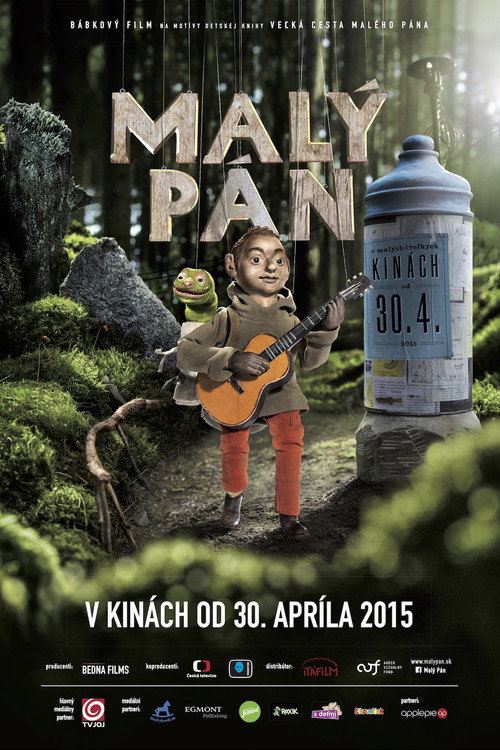 Movie poster for The Little Man (2015)