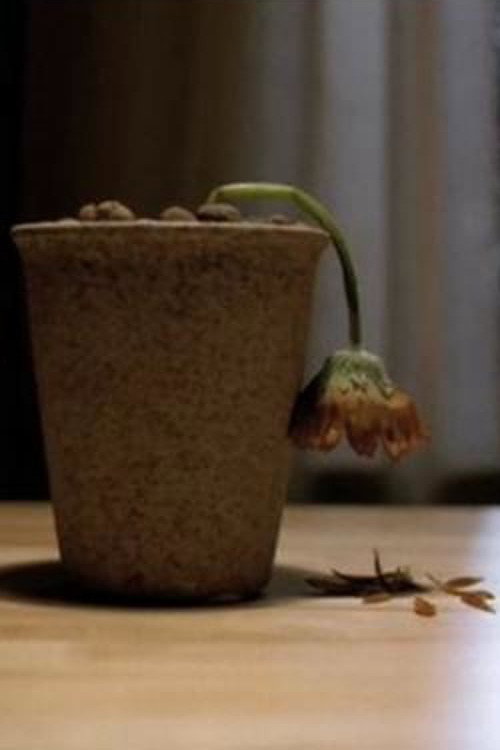 Movie poster for Flower Beloved (2006)