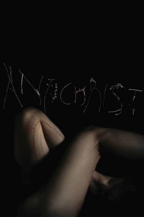 Movie poster for Charlotte etc.