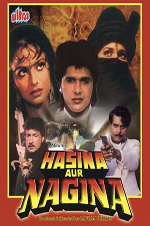 Movie poster for Hasina Aur Nagina (1996)