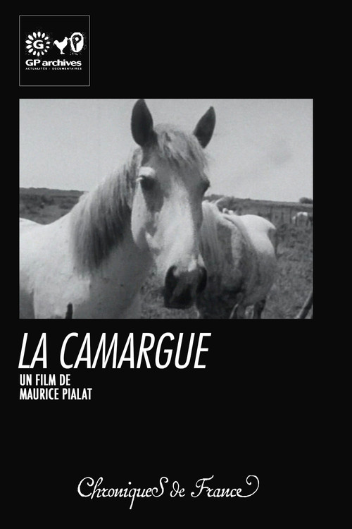 Movie poster for La Camargue (1966)
