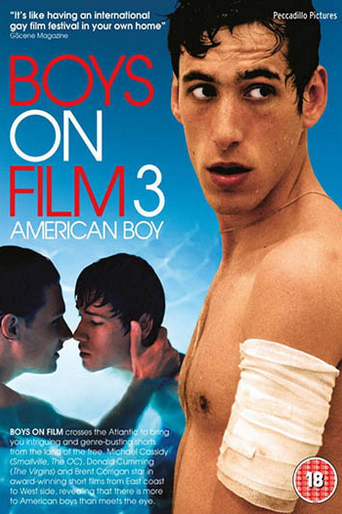 Movie poster for Boys On Film 3: American Boy (2009)