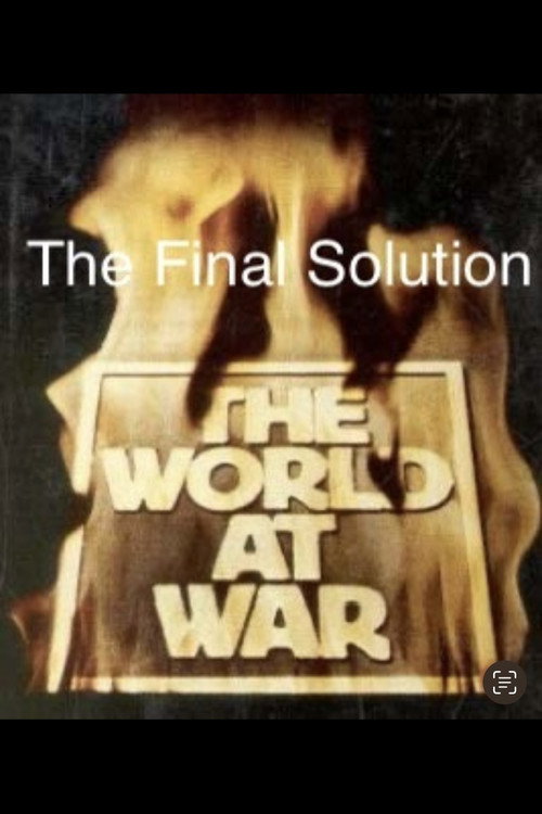 Movie poster for The Final Solution (1975)