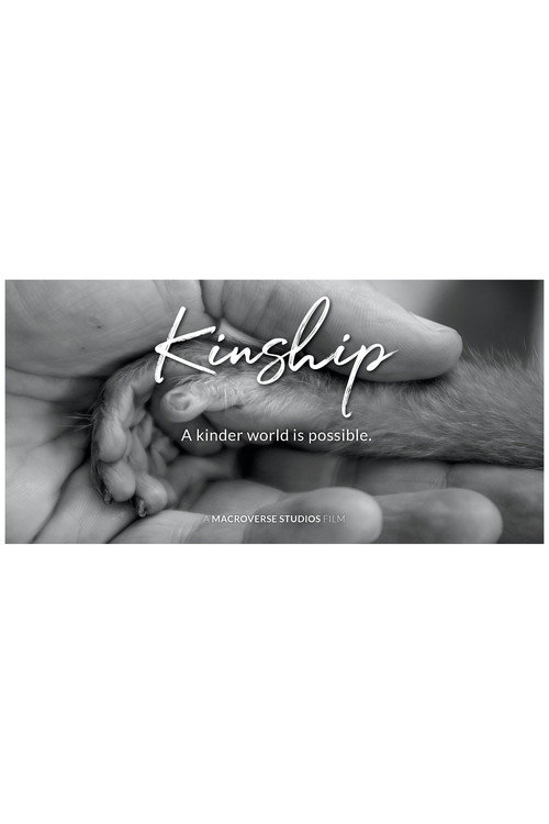 Movie poster for Kinship