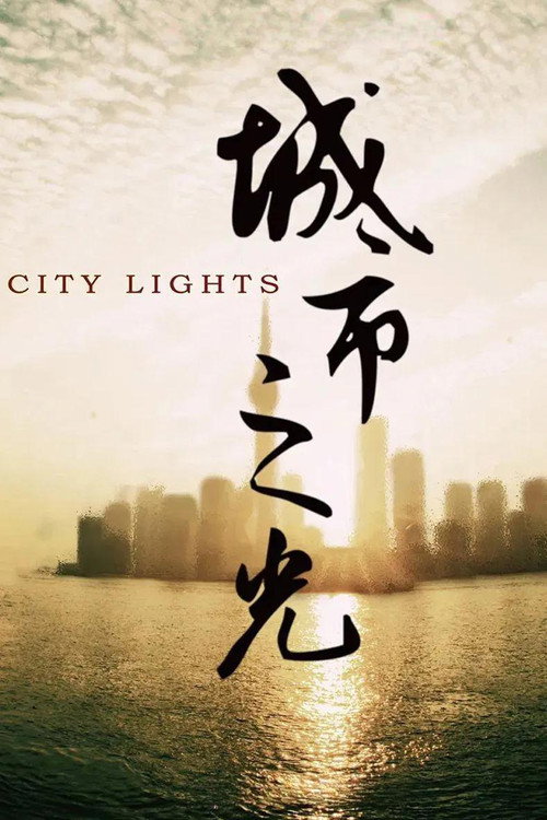 Movie poster for City Lights (2010)