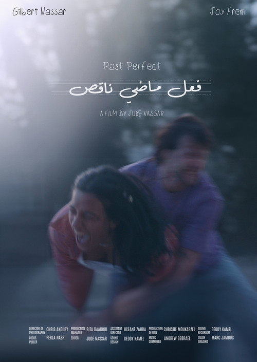 Movie poster for Past Perfect (2024)