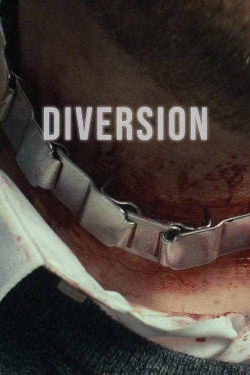 Movie poster for Diversion (2018)