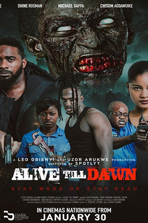 Alive Till Dawn poster