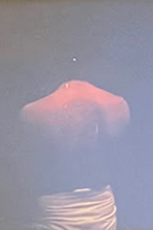 Movie poster for Sculpted (1992)