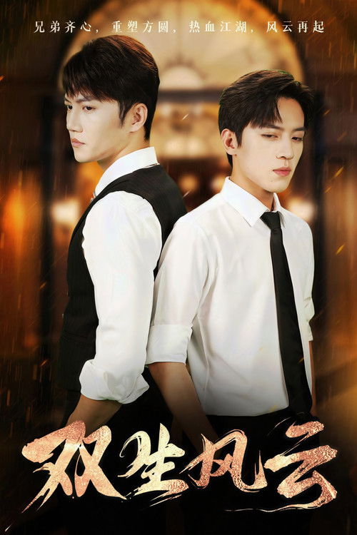 双生风云 poster