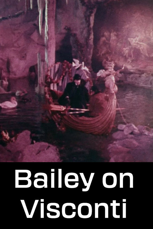 Movie poster for Bailey on Visconti (1972)