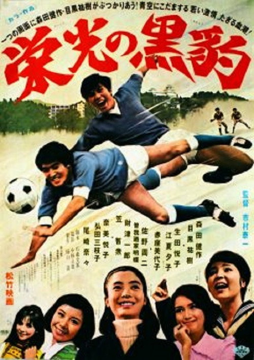 Movie poster for Fight for the Glory (1969)