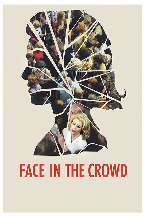 Movie poster for Face in the Crowd (2013)