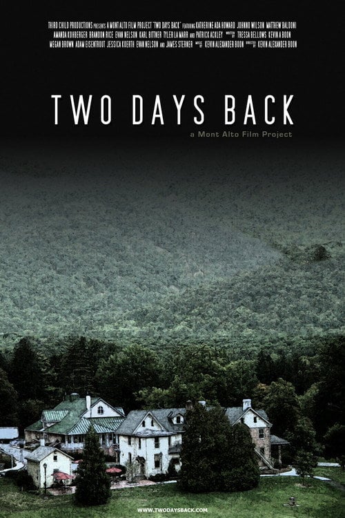 Movie poster for Two Days Back (2011)